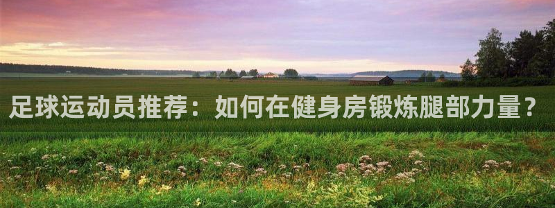 3377体育(中国)官方网站