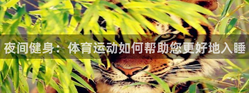 3377体育是正规的吗