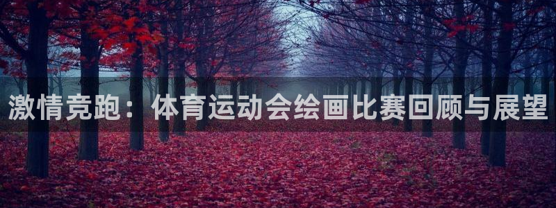 3377体育官网入口网页版