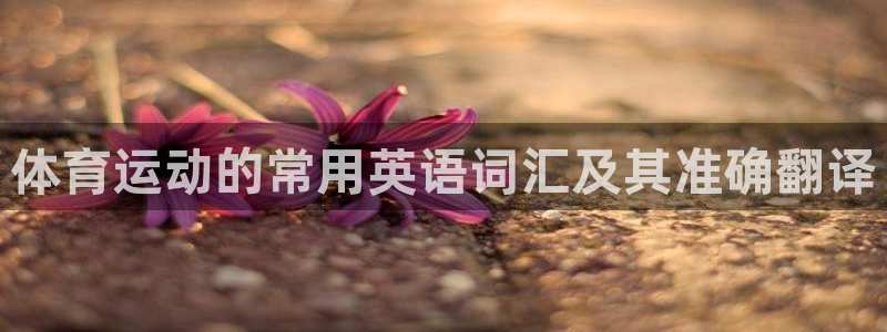 3377体育app下载安装：体育运动的常用英语词汇及其准确翻译