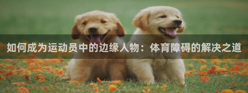 3377体育com：如何成为运动员中的边缘人物：体育障碍的解决之道