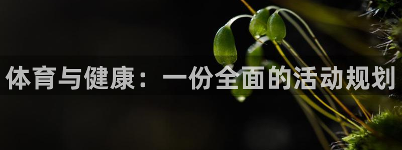 3377体育app官方下载