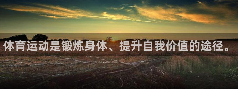 3377体育全网