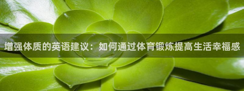 3377体育：增强体质的英语建议：如何通过体育锻炼提高生活幸福感