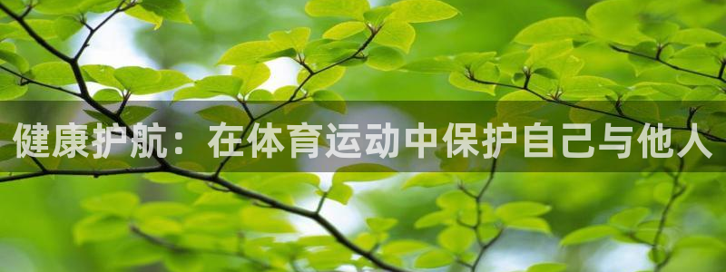 3377体育全网：健康护航：在体育运动中保护自己与他人