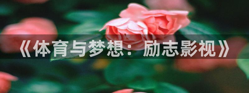3377体育app官网下载地址