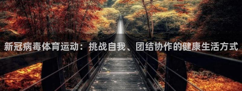 3377体育app下载安装