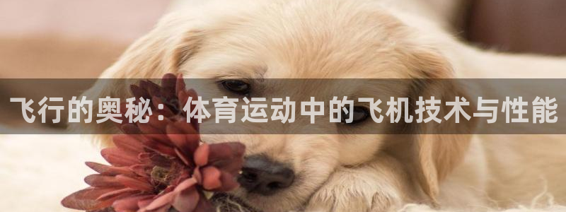 3377体育app官方下载