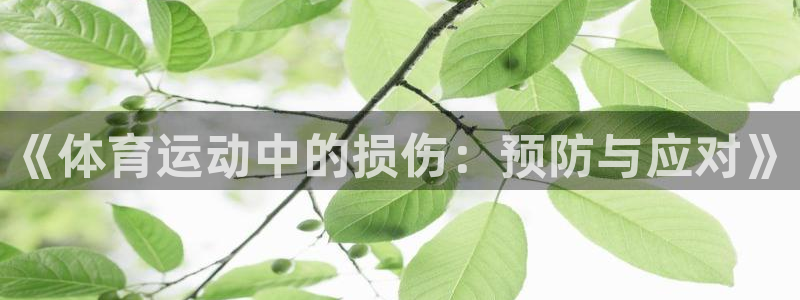 3377体育在线登录官网入口：《体育运动中的损伤：预防与应对》